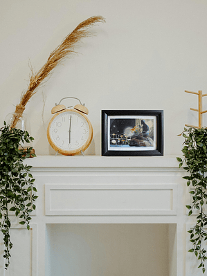 Contemplación y Quietud