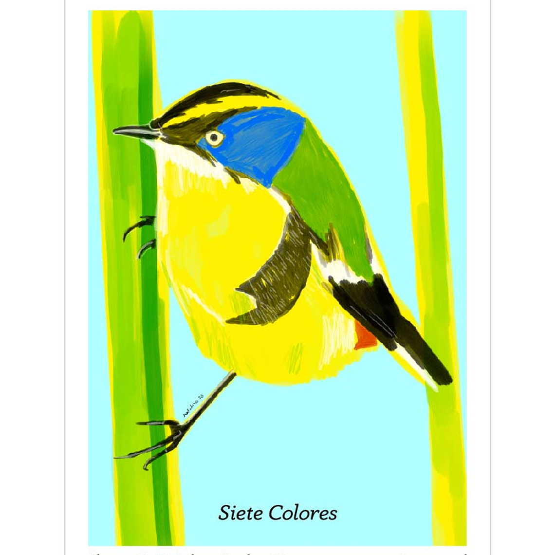 Pack de 7 Postales a Elección  2