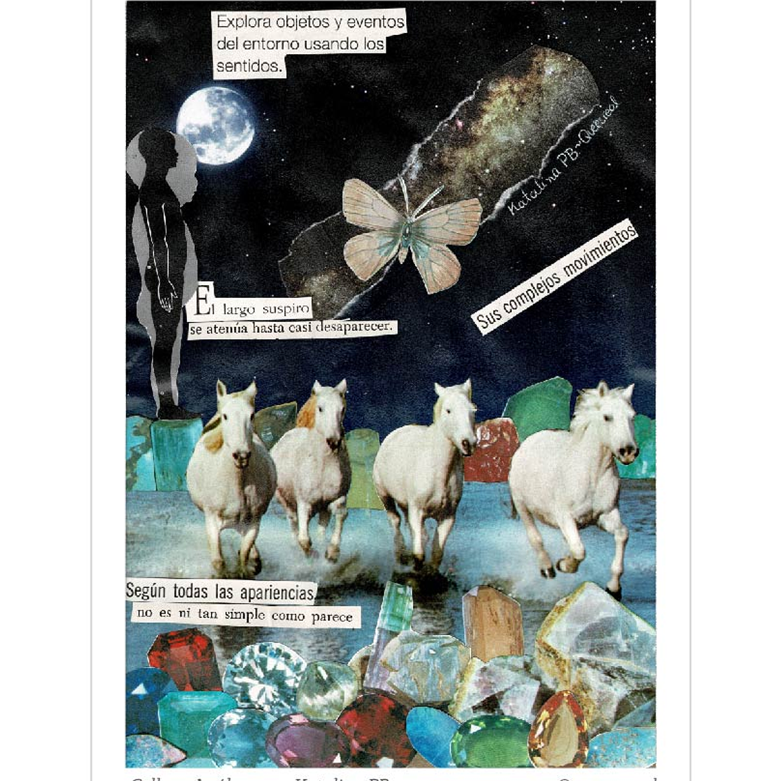 Pack de 7 Postales a Elección  3