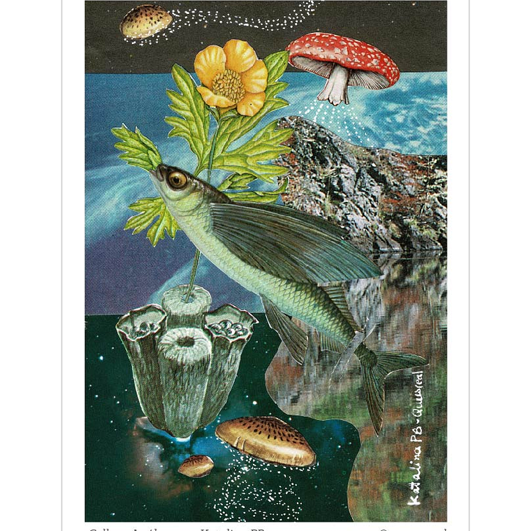 Pack de 7 Postales a Elección  4