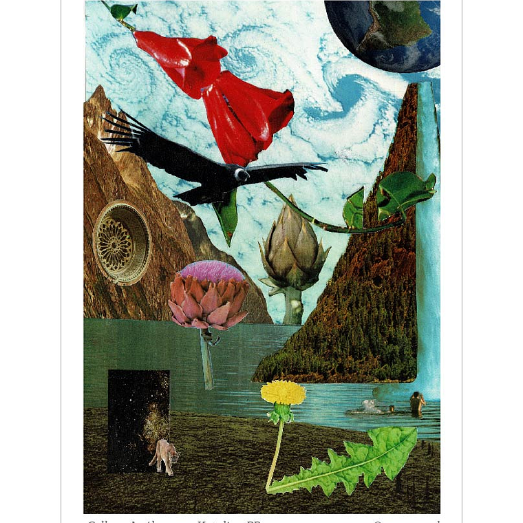 Pack de 7 Postales a Elección  6