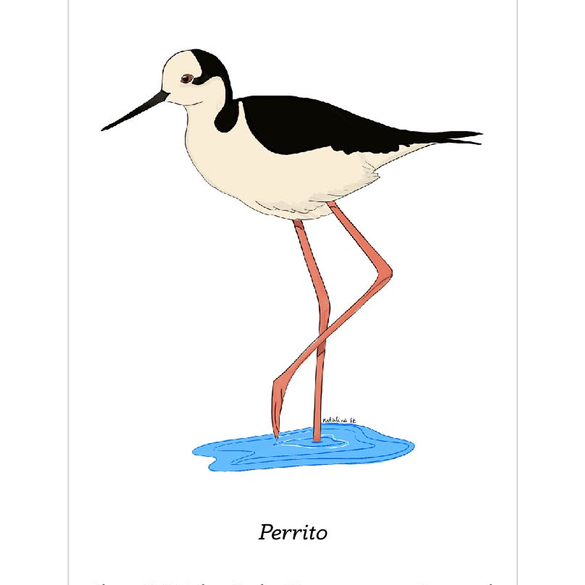 Pack de 7 Postales a Elección  7