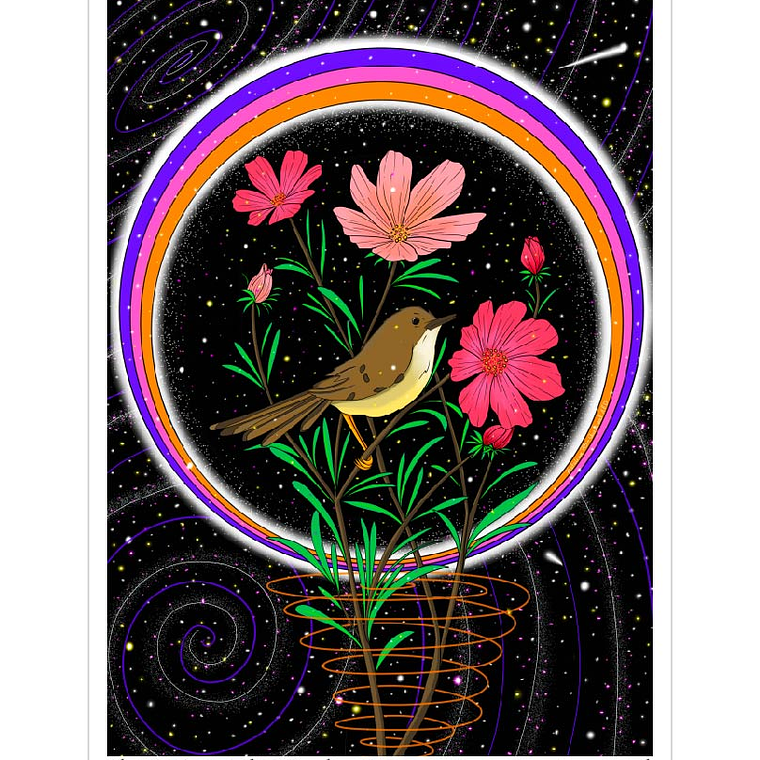 Pack de 7 Postales a Elección  10