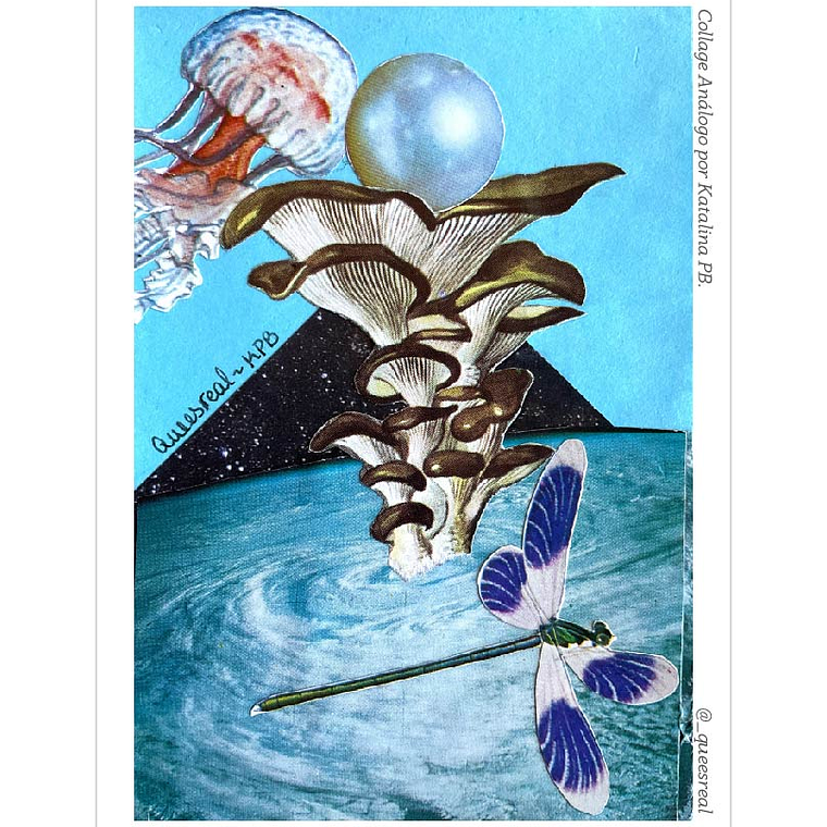 Pack de 7 Postales a Elección  15