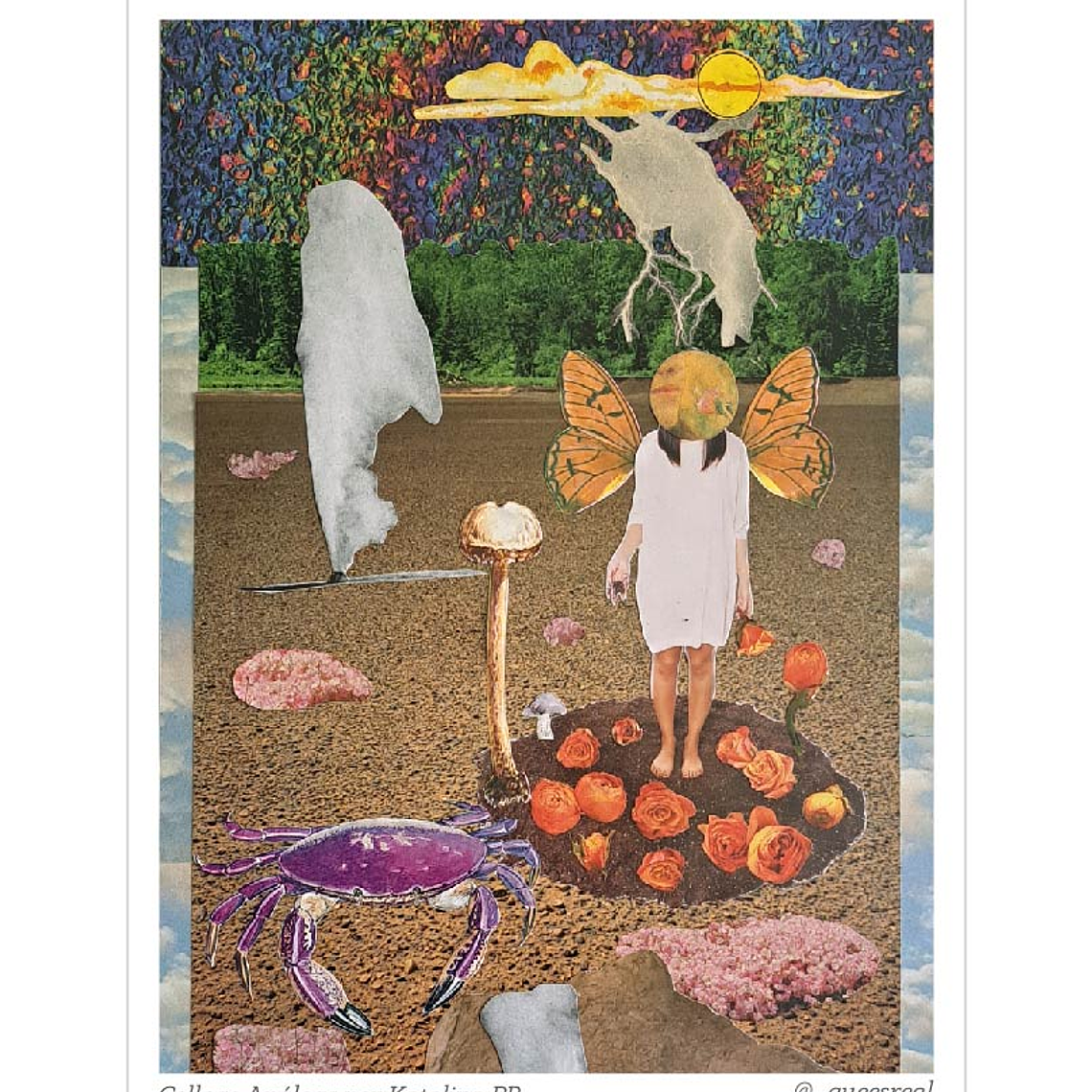 Pack de 7 Postales a Elección  16