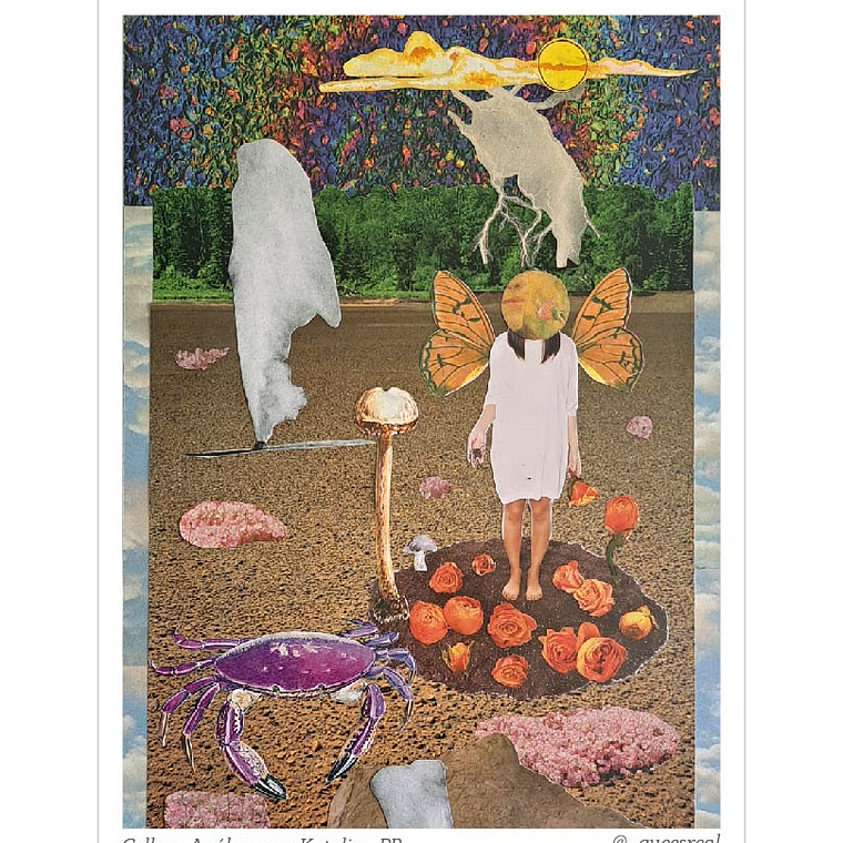 Pack de 7 Postales a Elección  16