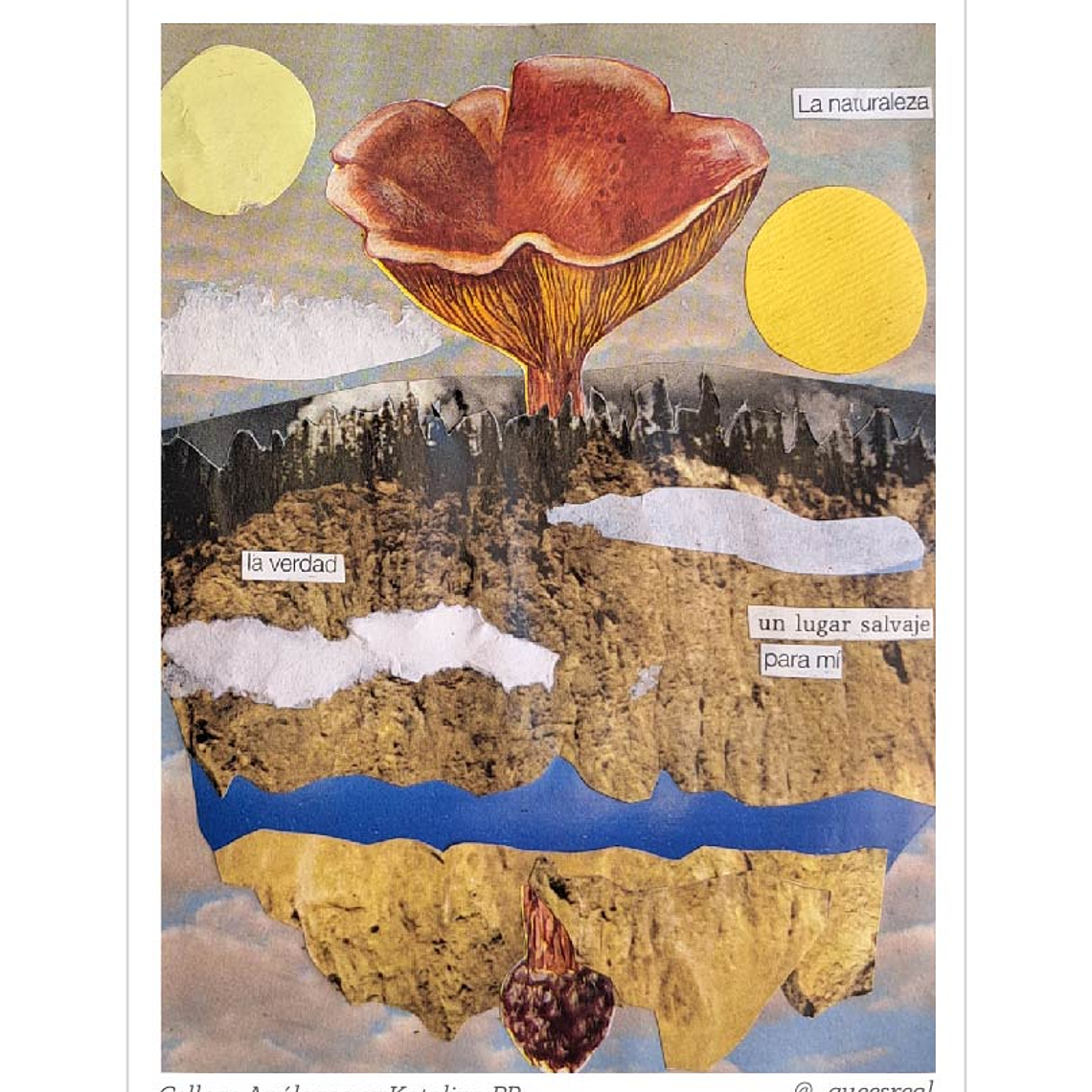 Pack de 7 Postales a Elección  17