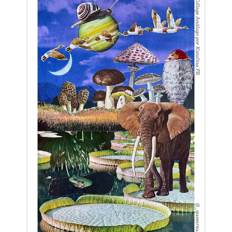 Pack de 7 Postales a Elección  18