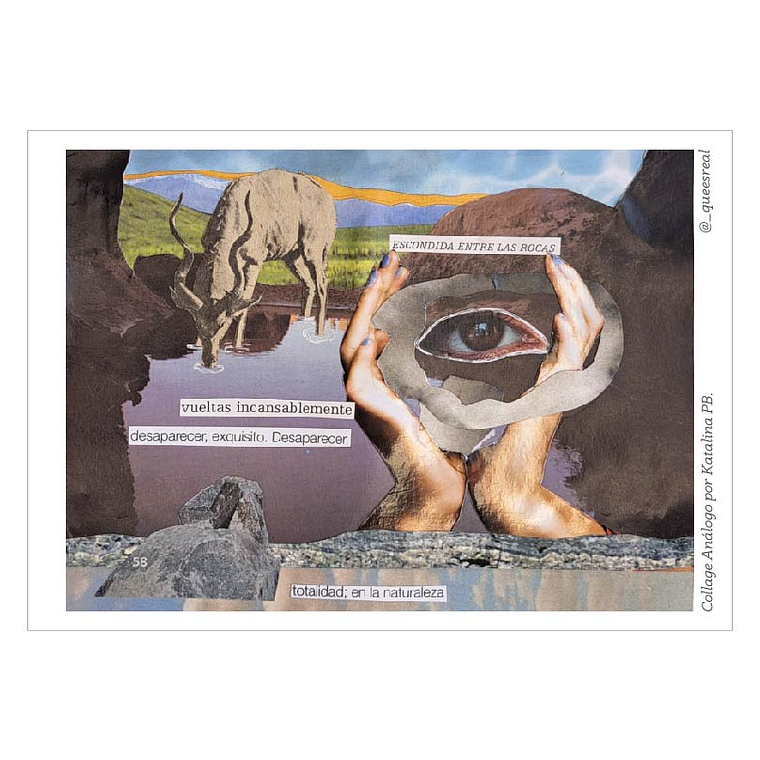 Pack de 7 Postales a Elección  19