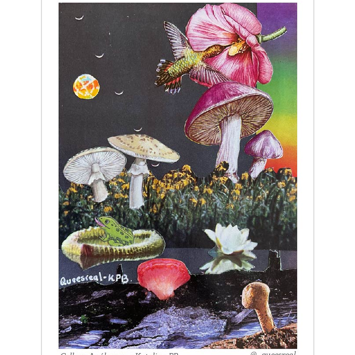 Pack de 7 Postales a Elección  23