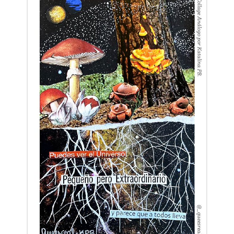 Pack de 7 Postales a Elección  26