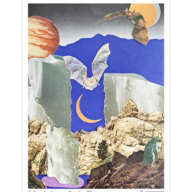 Pack de 7 Postales a Elección  27