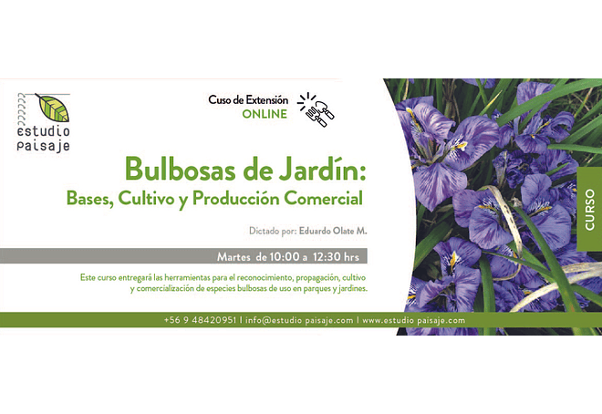 ESPECIES BULBOSAS DE JARDÍN: BASES, CULTIVO PRODUCCIÓN COMERCIAL