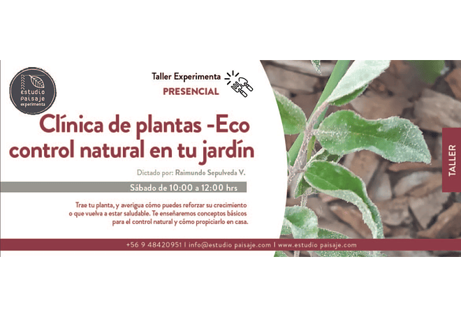 TALLER "SANA TUS PLANTAS_Eco control Natural en tu jardín"