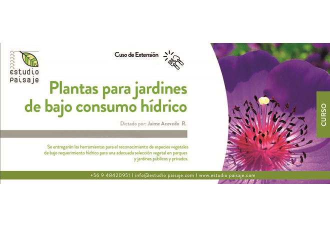 PLANTAS PARA JARDINES DE BAJO CONSUMO HÍDRICO