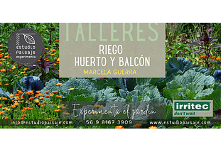 TALLER 