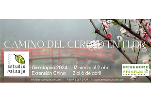 GIRA A JAPON_Camino del Cerezo en Flor_TOKYO y KYOTO,