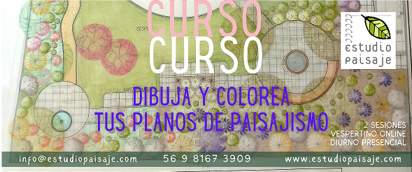 DIBUJO DE PLANOS DE PAISAJISMO: Técnicas Creativas de Dibujo y Coloreado