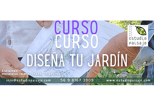 DISEÑA TU JARDÍN desde CERO 