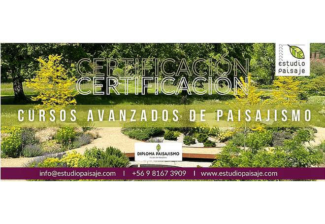 CURSO AVANZADO DE PAISAJISMO