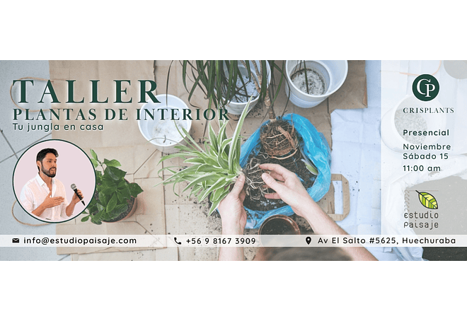 TALLER "PLANTAS DE INTERIOR: Tu jungla en casa”