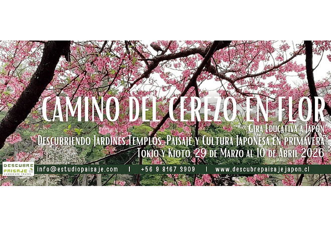 GIRA A JAPON_Camino del Cerezo en Flor: Marzo 2026