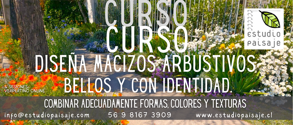 Diseña MACIZOS ARBUSTIVOS bellos y con identidad.