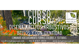 Diseña MACIZOS ARBUSTIVOS bellos y con identidad.