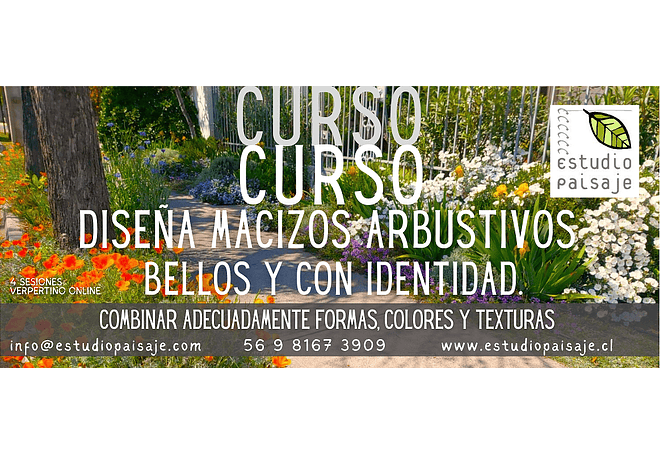 Diseña MACIZOS ARBUSTIVOS bellos y con identidad.