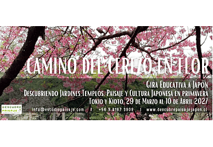GIRA A JAPON_Camino del Cerezo en Flor: Marzo 2027