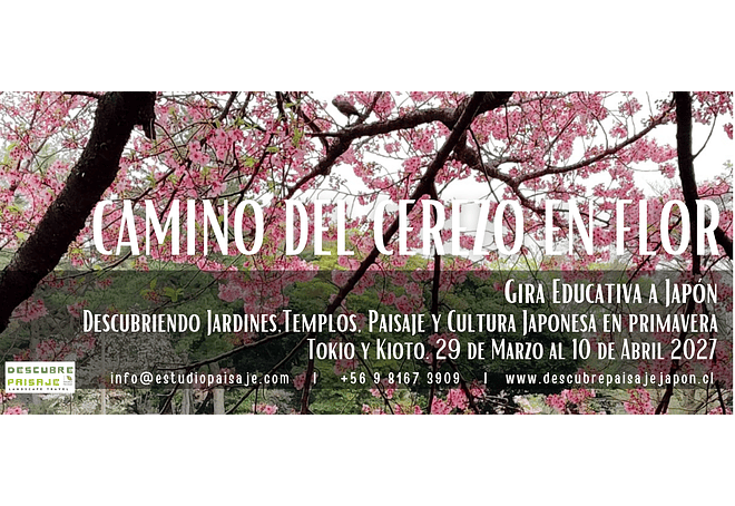 GIRA A JAPON_Camino del Cerezo en Flor: Marzo 2027