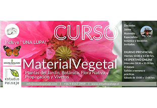 MATERIAL VEGETAL BÁSICO_Plantas del Jardín, Botánica, Flora Nativa, Propagación y Viveros