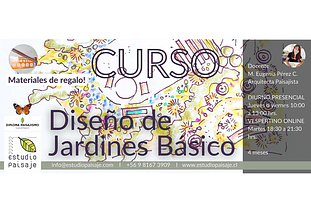 DISEÑO DE JARDINES BÁSICO