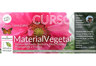 MATERIAL VEGETAL BÁSICO_Plantas del Jardín, Botánica, Flora Nativa, Propagación y Viveros