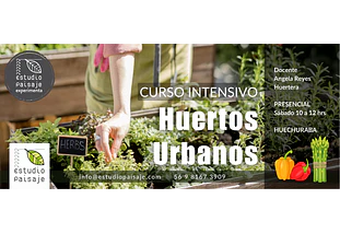 HUERTOS URBANOS