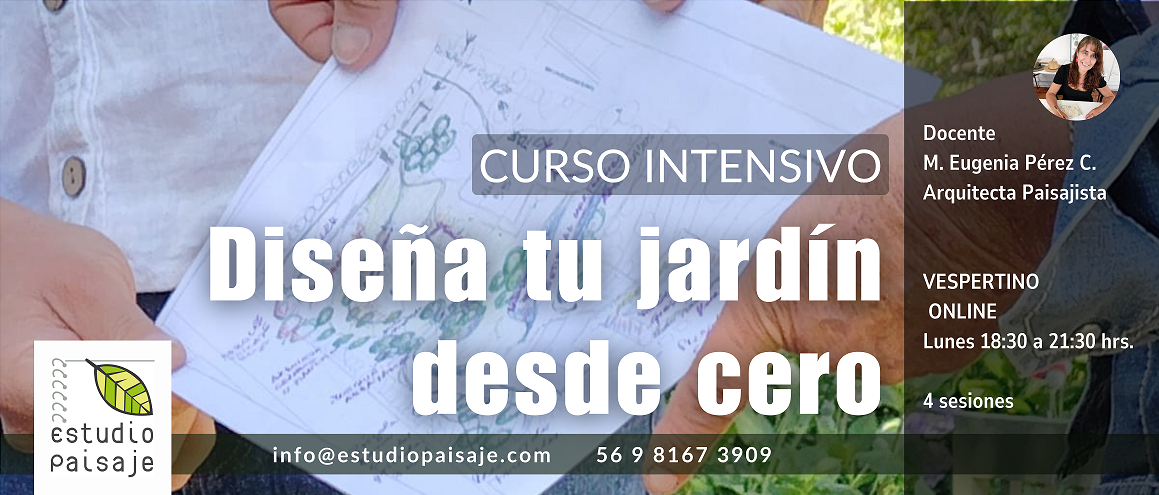 DISEÑA TU JARDÍN desde CERO