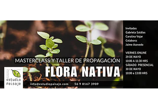FLORA NATIVA
