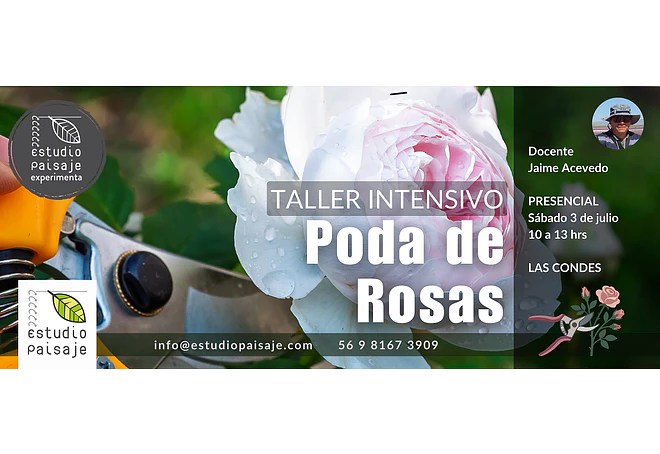 PODA DE ROSAS