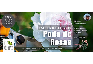 PODA DE ROSAS