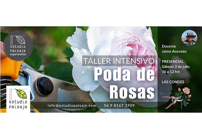 PODA DE ROSAS