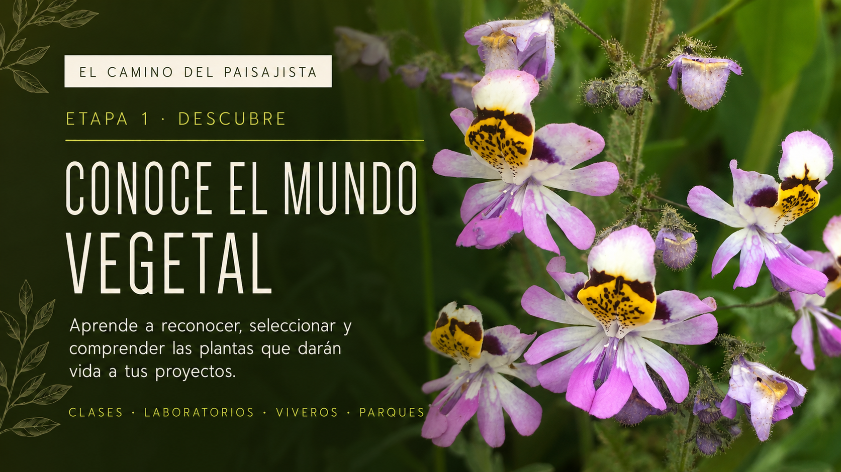 MATERIAL VEGETAL Plantas del Jardín, Botánica, Flora Nativa, Propagación y Viveros