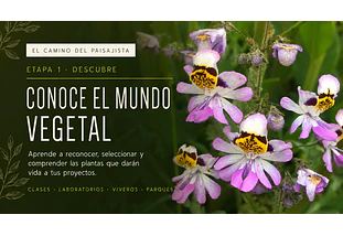 MATERIAL VEGETAL Plantas del Jardín, Botánica, Flora Nativa, Propagación y Viveros