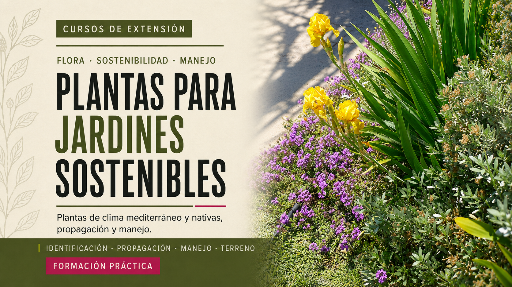 PLANTAS PARA JARDINES SOSTENIBLES.
