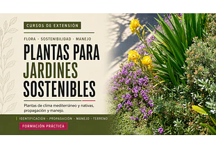 PLANTAS PARA JARDINES SOSTENIBLES.