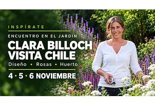INSPIRATE_ Clara Billoch en Chile