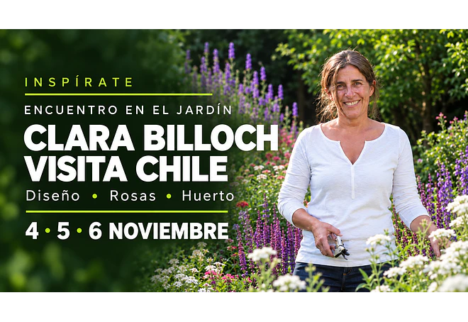INSPIRATE_ Clara Billoch en Chile