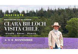 INSPIRATE_ Clara Billoch en Chile