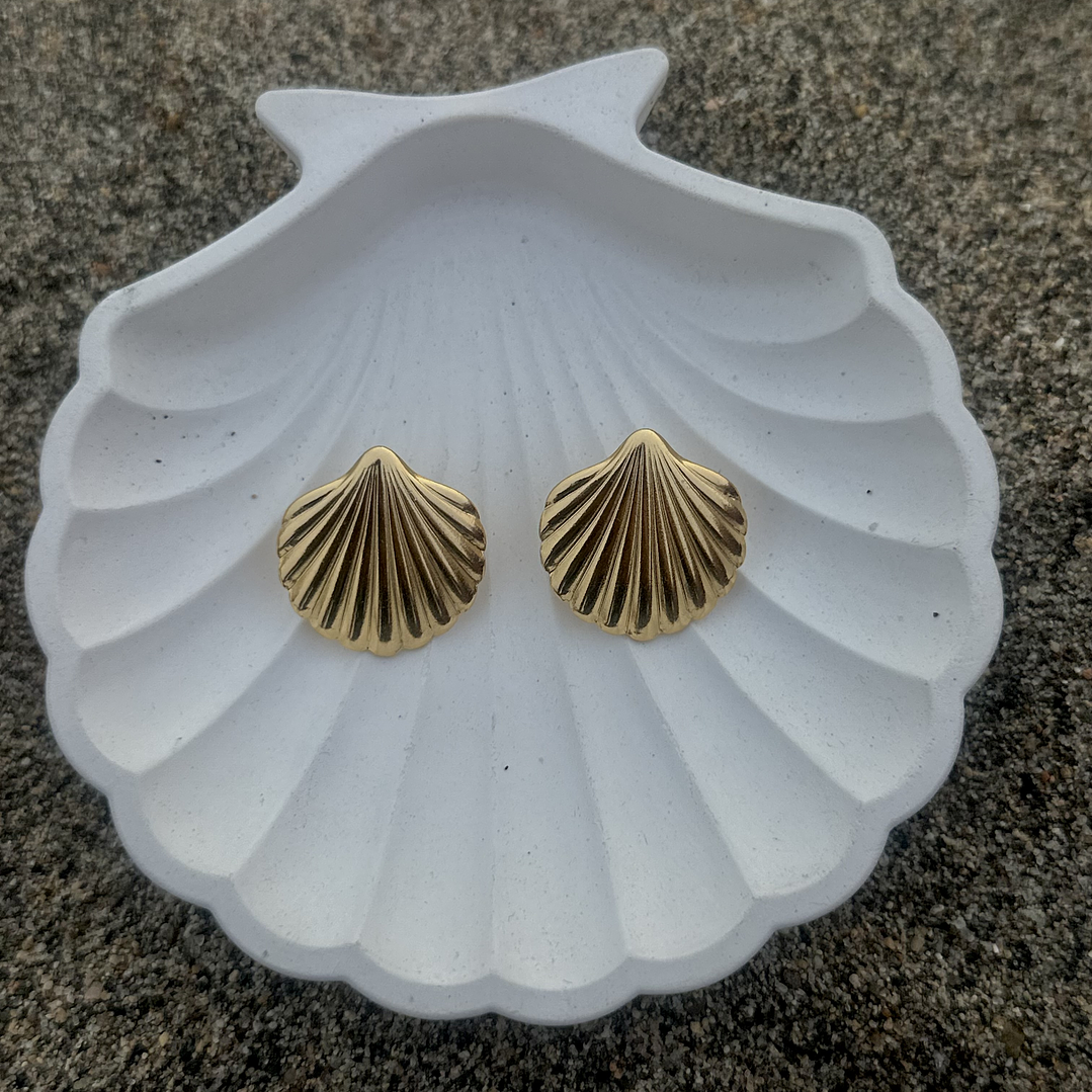 Mini Shell Earrings 3