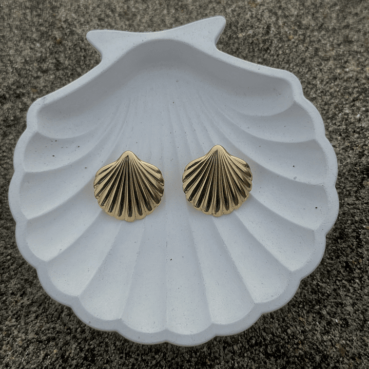 Mini Shell Earrings 3