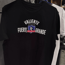 Oferta navideña 2 poleras + gorro 